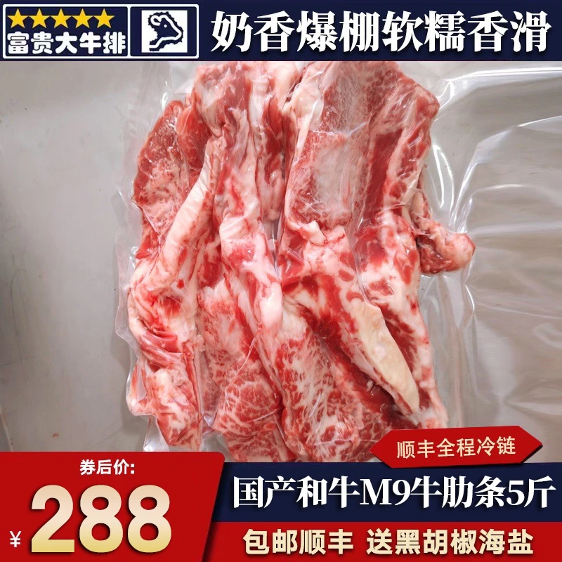 【囤肉装】包邮10斤国产m9和牛无骨牛肋条雪花原切奶香烧烤嫩牛肉