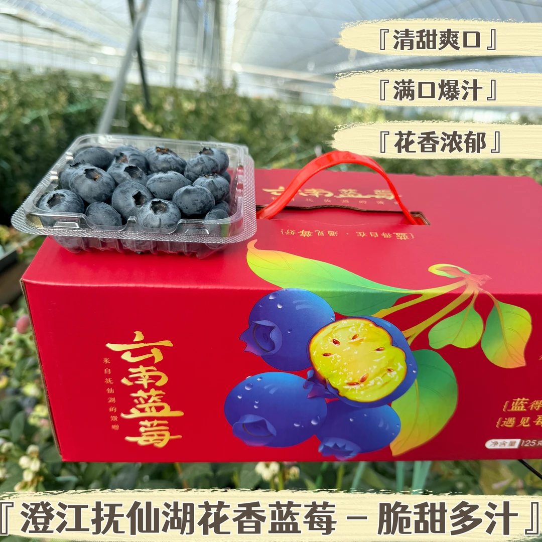 【林妈妈专属】云南澄江抚仙湖花香蓝莓纯甜香脆无酸花香浓郁