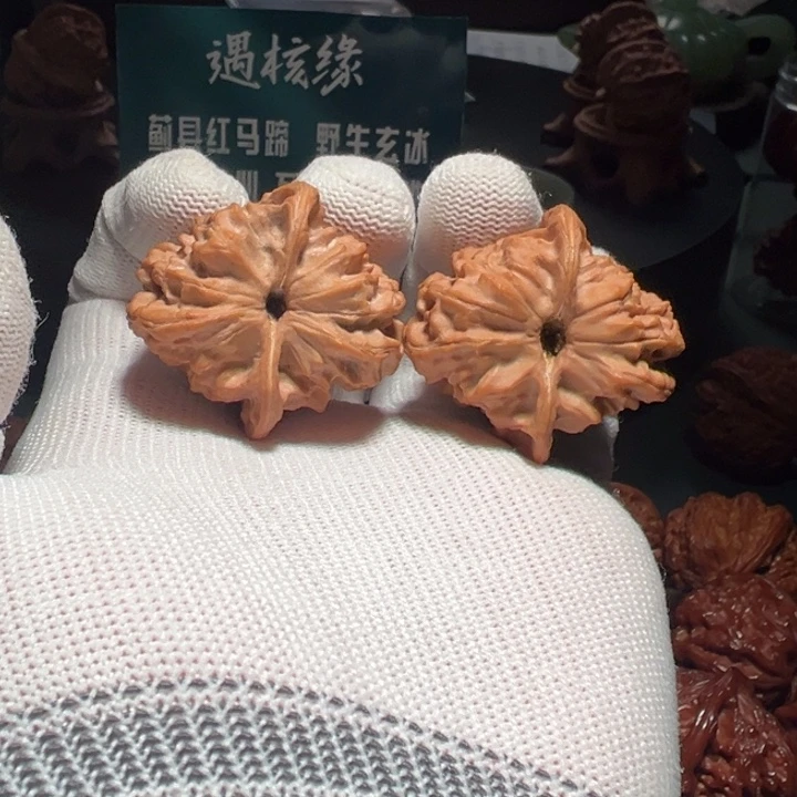 ****文玩核桃吊坠双筋红马蹄1146
