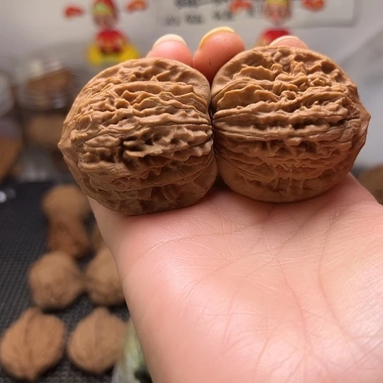 四座楼小众矮众核楼核楼