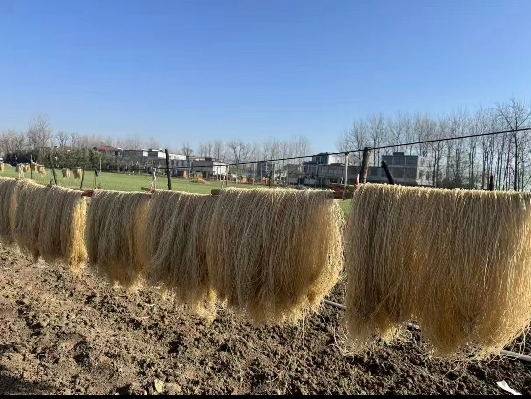 香香家西瓜红红薯粉条5斤装