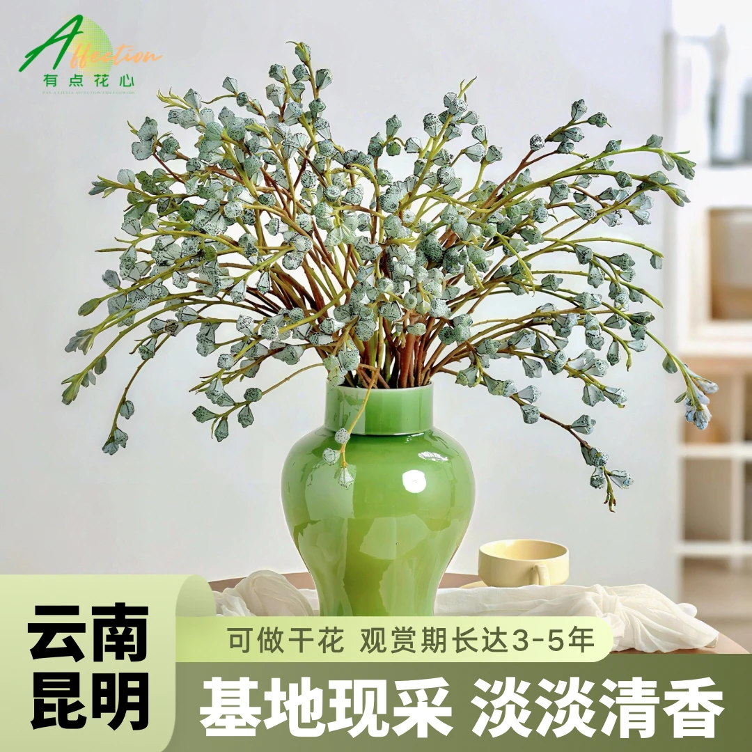 【钻石尤加利果】用一束花迎接2025年钻石尤加利老果新果氛感可干花