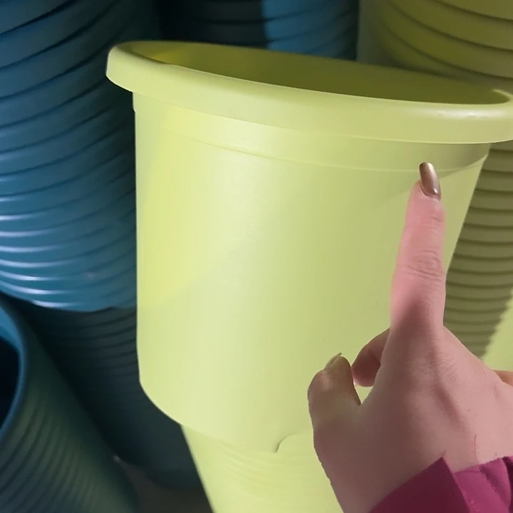 四季4号果绿无托5个