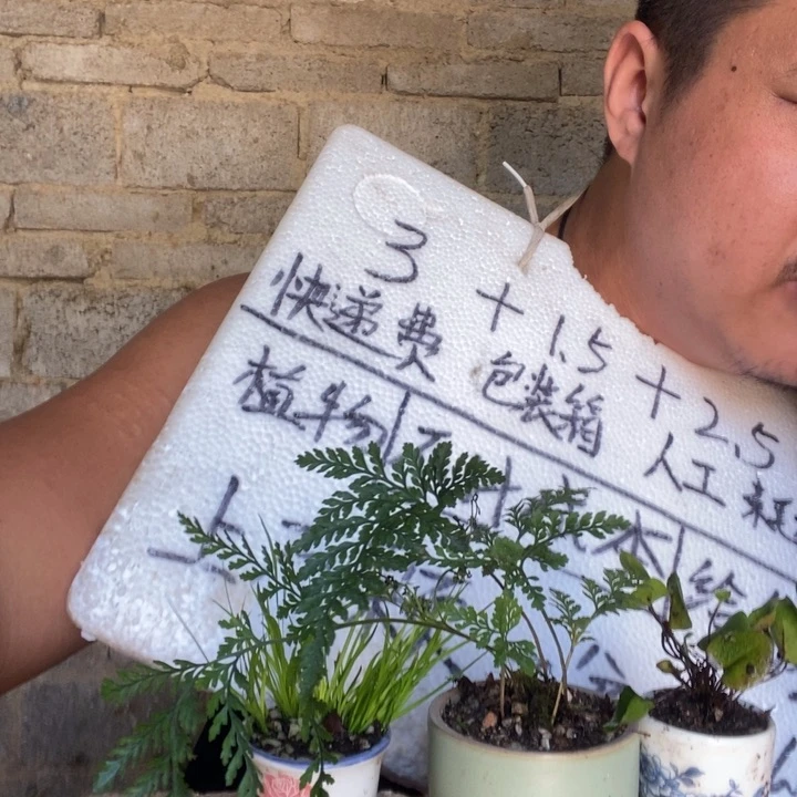 退款拉黑一物一拍40