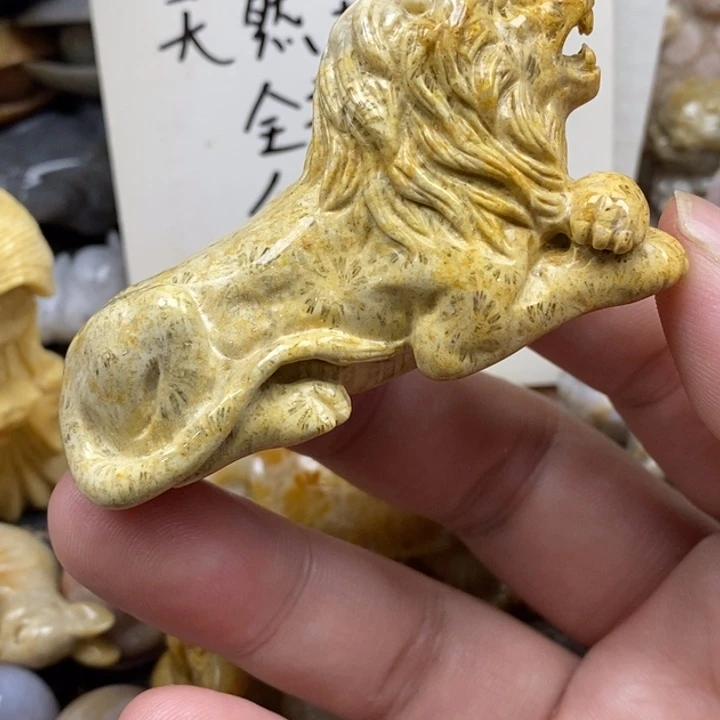 硅化珊瑚（珊瑚玉）未镶嵌颈饰