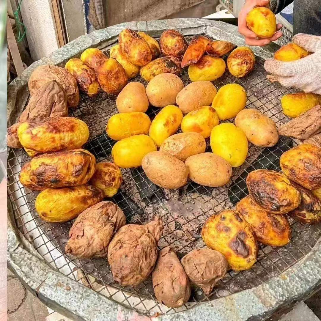 云南干巴洋芋正宗云南老品种皱皮马铃薯洋芋干巴老土豆焉瘪土豆