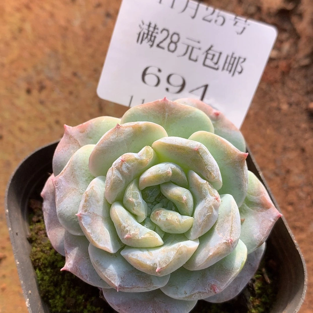 【闪购商品】云694号线