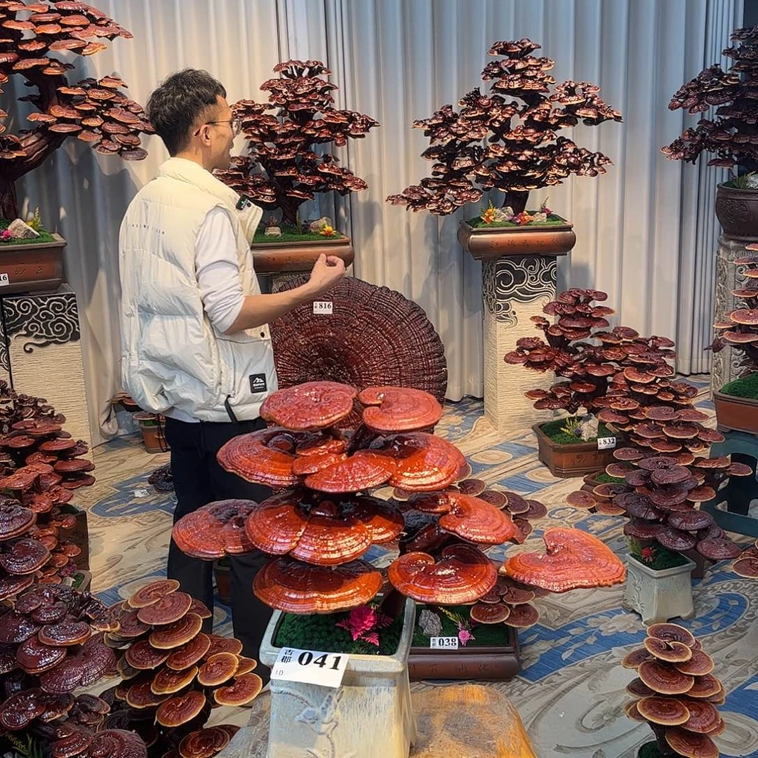 无花朵88888888888