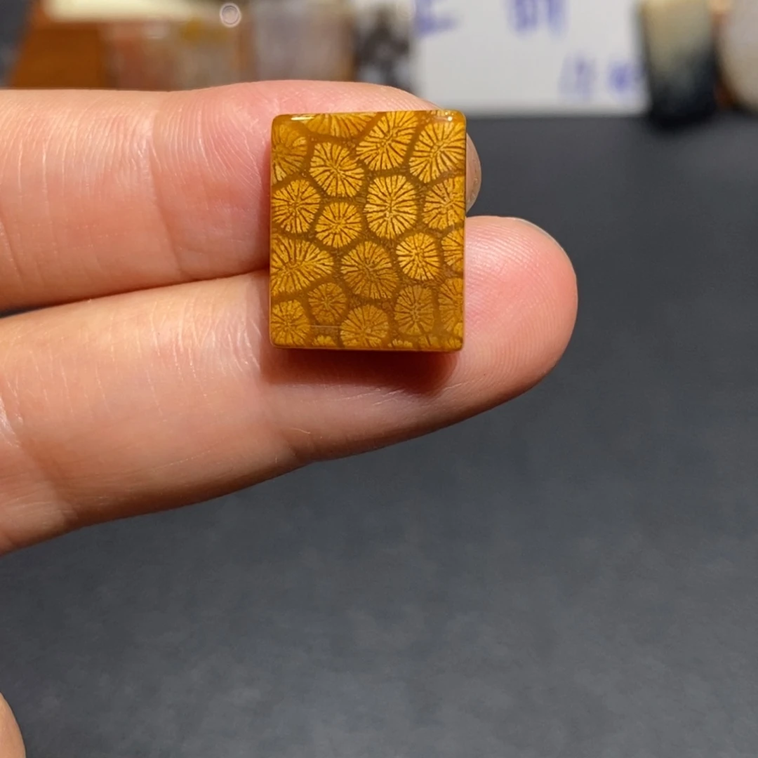 【闪购商品】未镶嵌珊瑚玉硅化玉