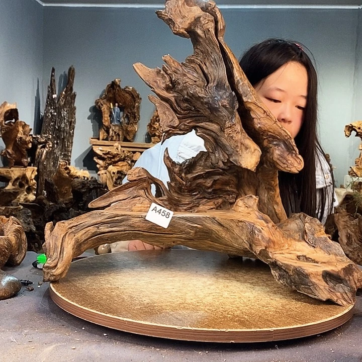 茶盏?*慈458株木的随行的根艺