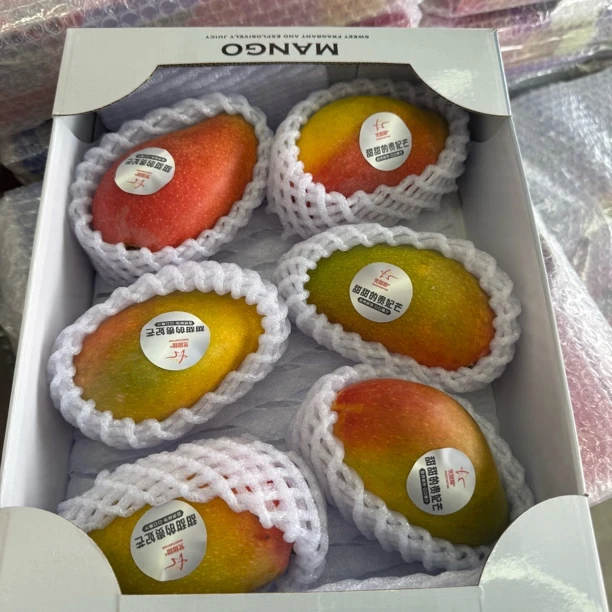 海南贵妃芒 一箱 2斤（顺丰包邮，明天准到）