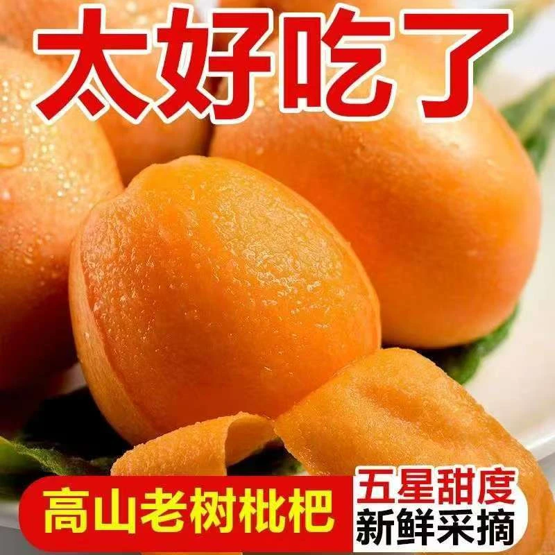 正宗四川大五星枇杷新鲜水果清甜皮薄多汁新鲜直发鲜甜孕妇枇杷1