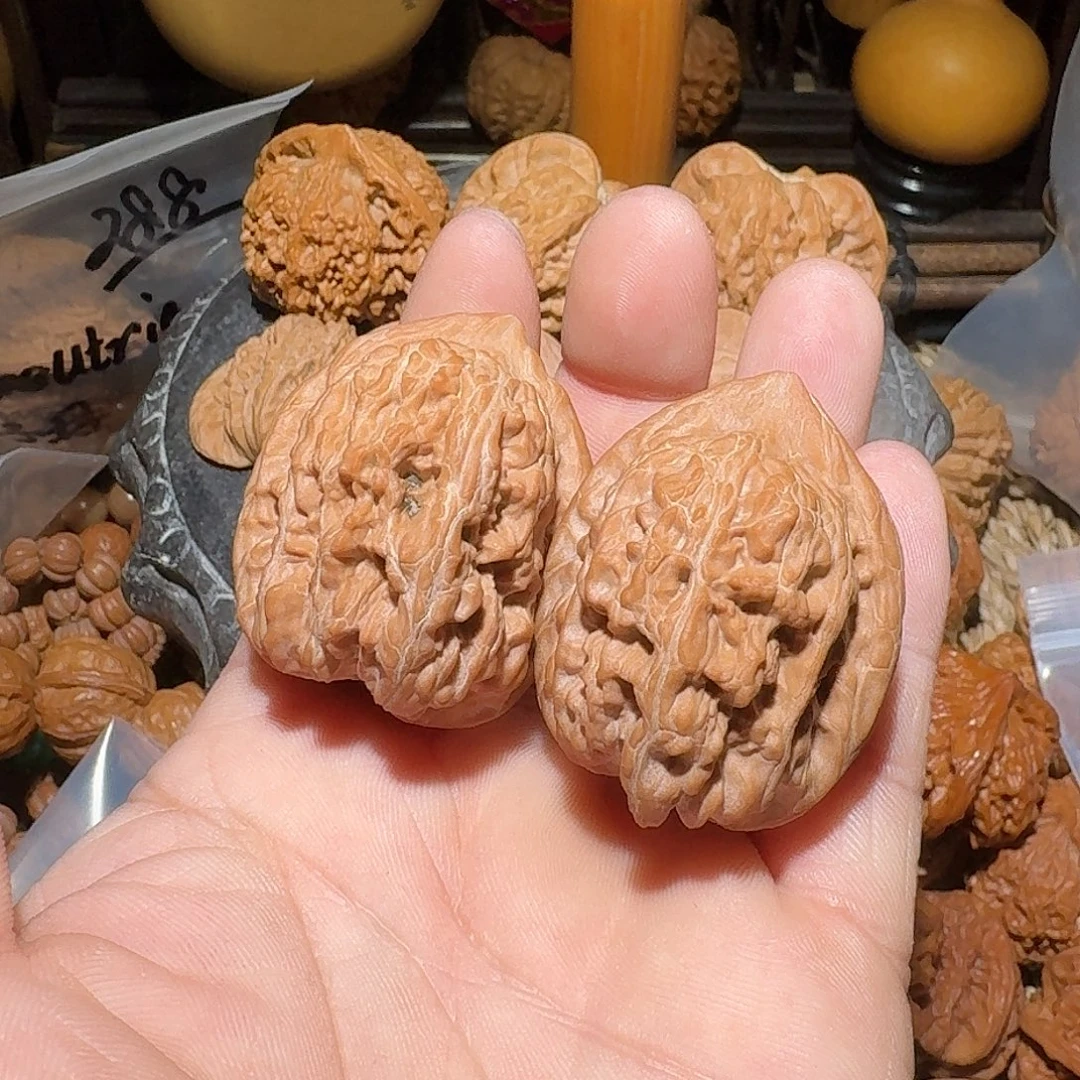 核桃全品35尺赤龙鸡心