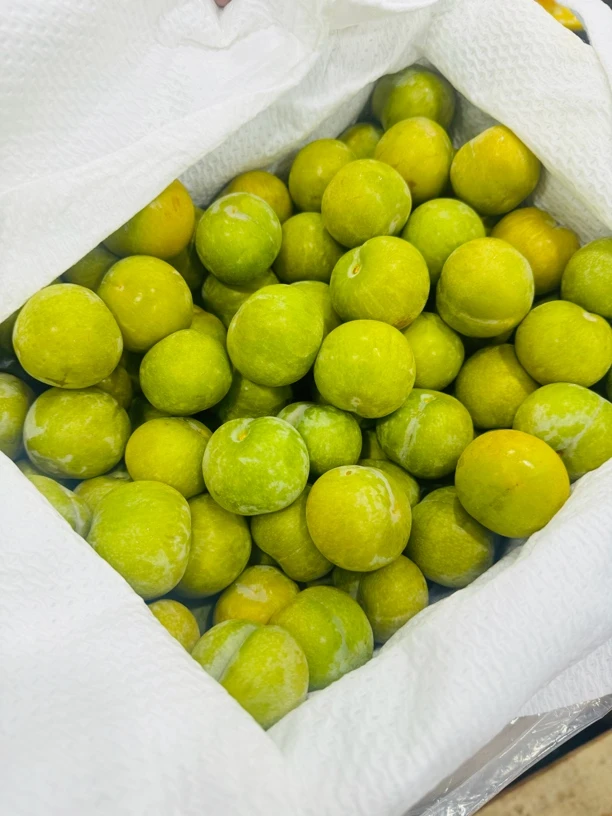 纯甜蜂糖李2斤净