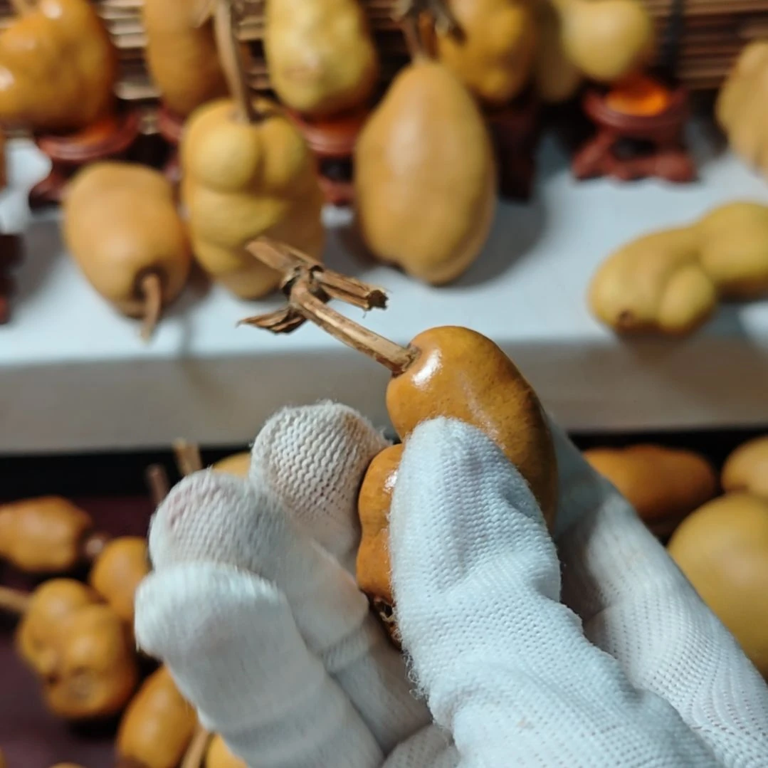 乐***女精品土豆葫芦一物一拍