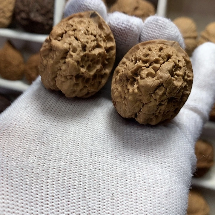 核桃38尺爆米花32号