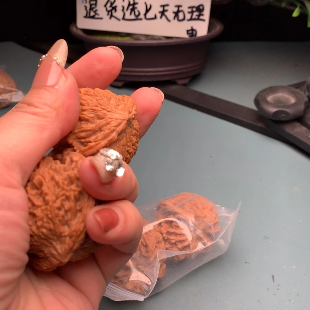 文玩核桃把件维修满天星4445
