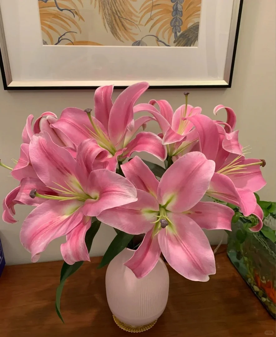 普拉芬多香水百合10个花苞  一单包邮三单京东 收到需要醒花