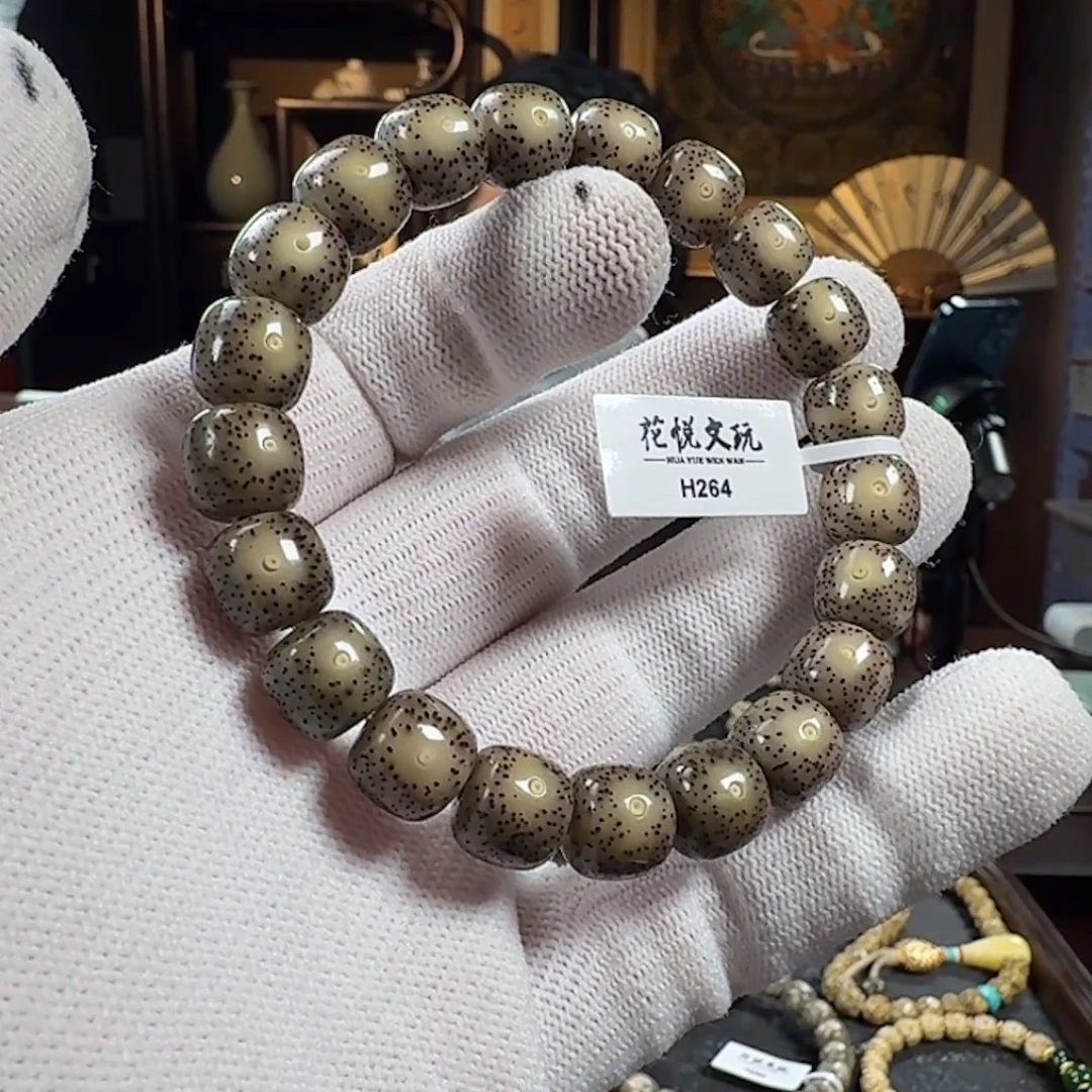 手串星月菩提11x10 糯冰黑冰针尖星 H264