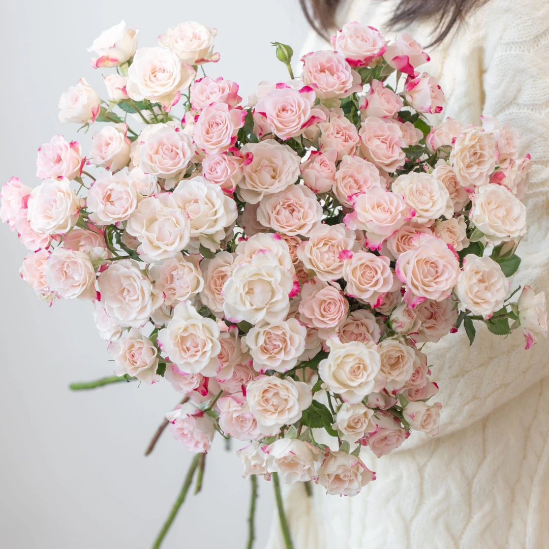 【花鲜丰】折射多头玫瑰5枝装鲜花次日达家居装饰家具插花