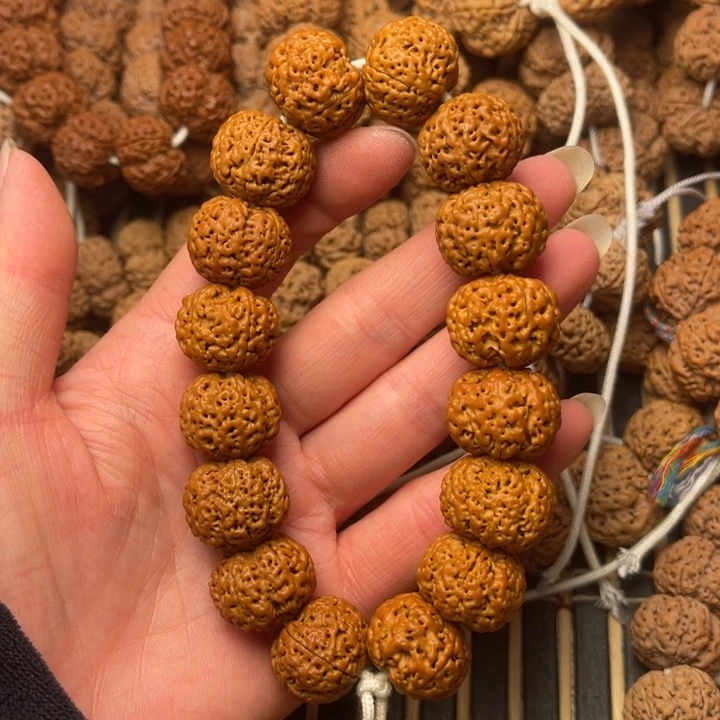 菩提尼泊尔大金刚五星蜂王20