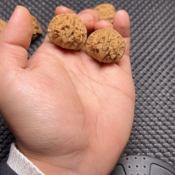 文玩核桃吊坠小蝴蝶