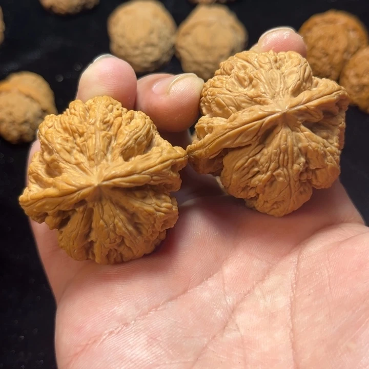 文玩核桃大粗筋全品