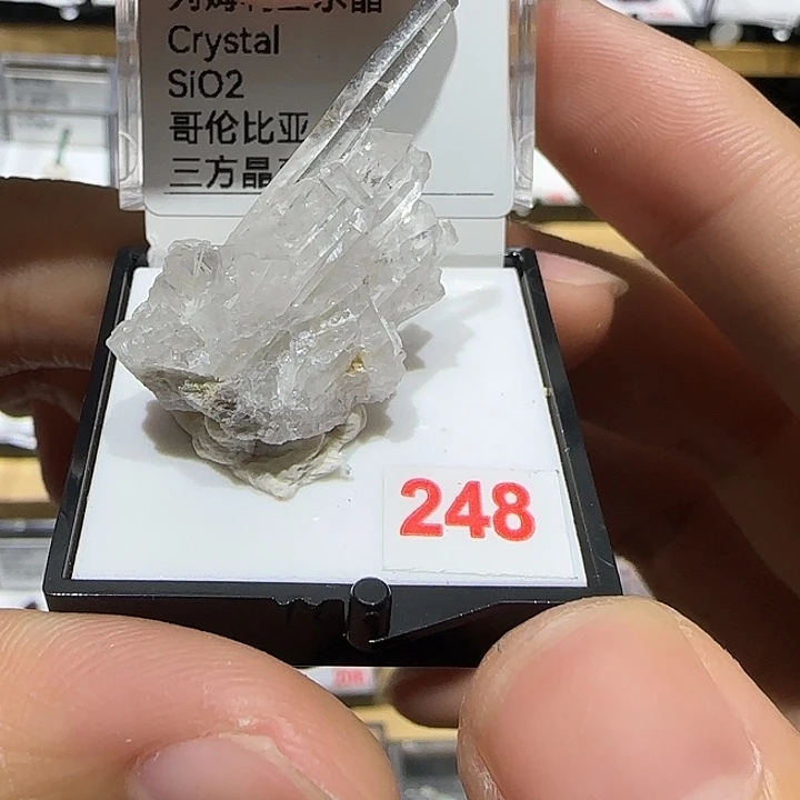 银S925利姆利亚和宝宝