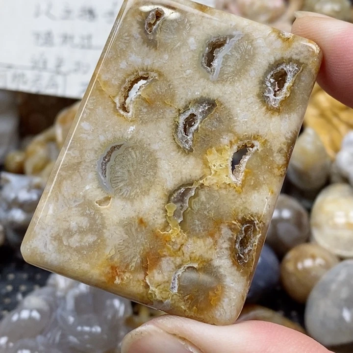 颈饰未镶嵌硅化珊瑚（珊瑚玉）有瑕