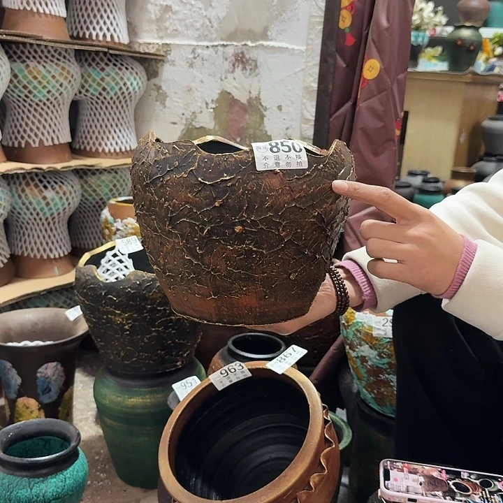 瑕疵金红壳850高度18口径21