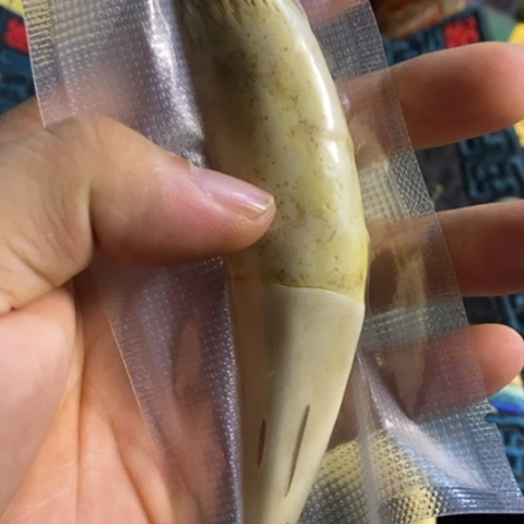 大哥专拍链接一号