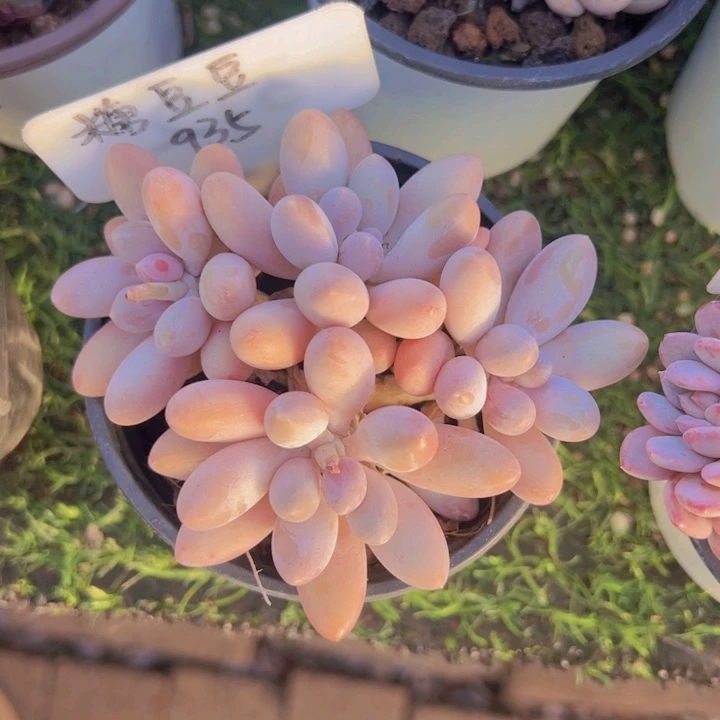 健健康康平平安安