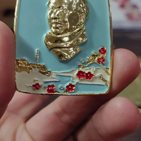 其他普通金属追****》纪念章