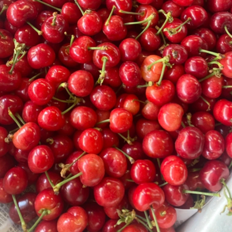 【瑕疵】布鲁克斯大果樱桃1斤装J布鲁克斯山西省