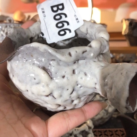 东**白木有一点点的小姐姐