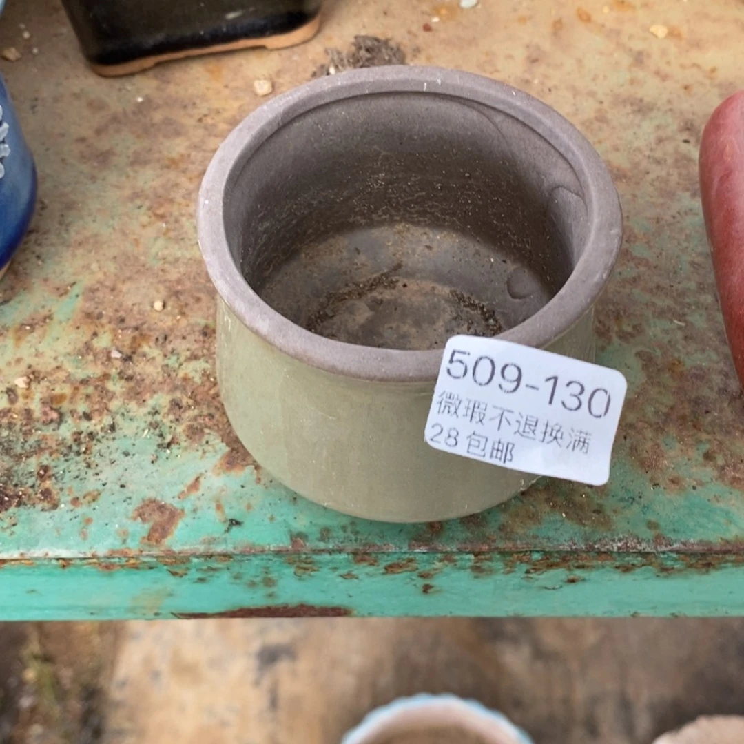 ?****?130号多肉盆一个呀