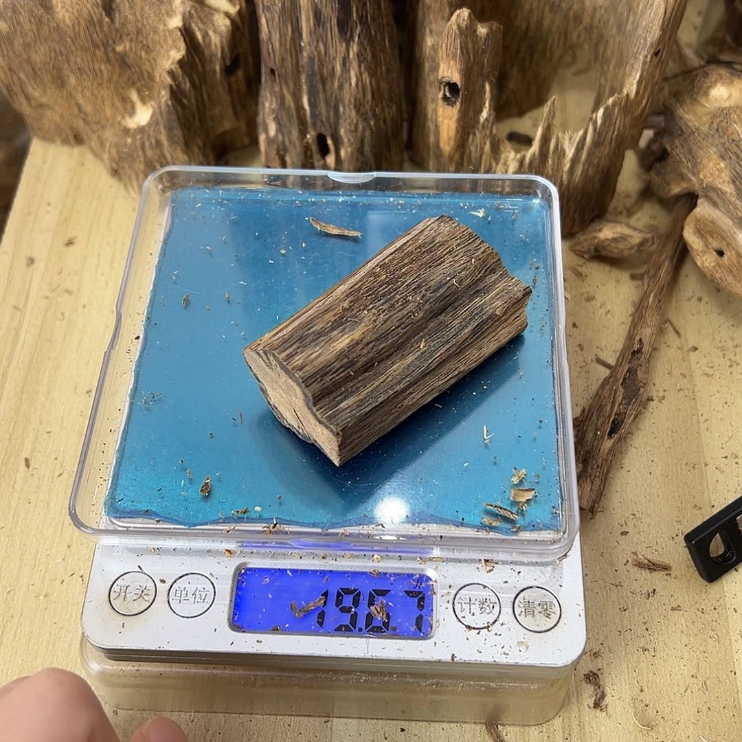 香料绿奇楠虫漏19克乌身