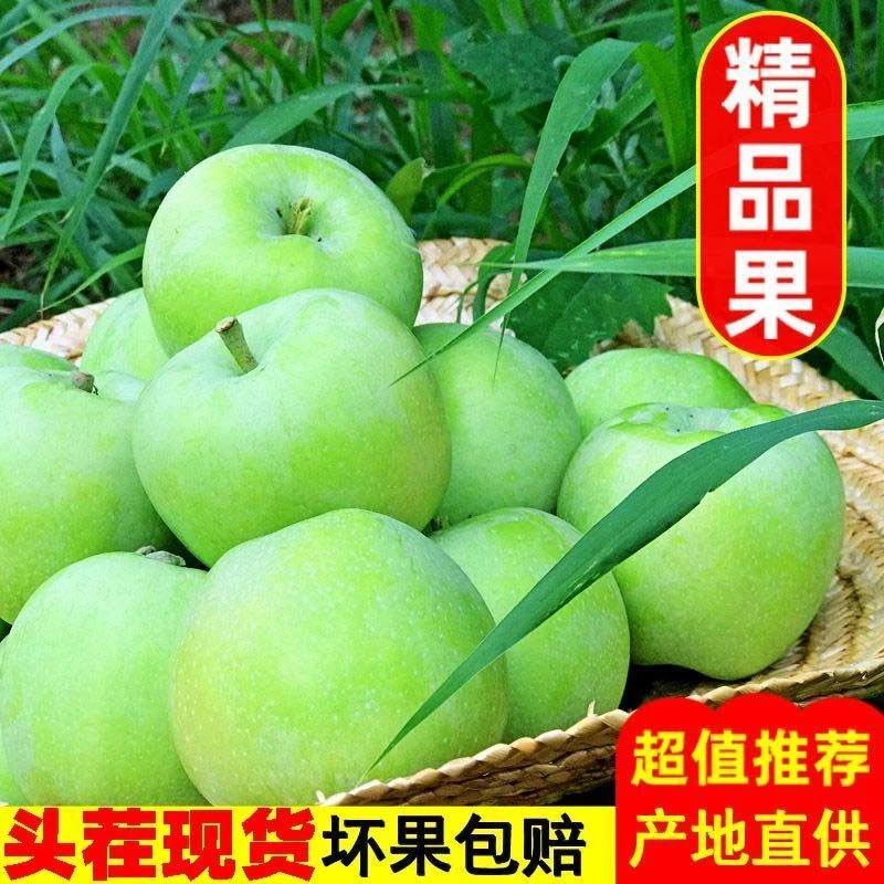 【沂蒙山青苹果】酸甜可口小苹果脆甜爽口小苹果孕妇水果儿时味道