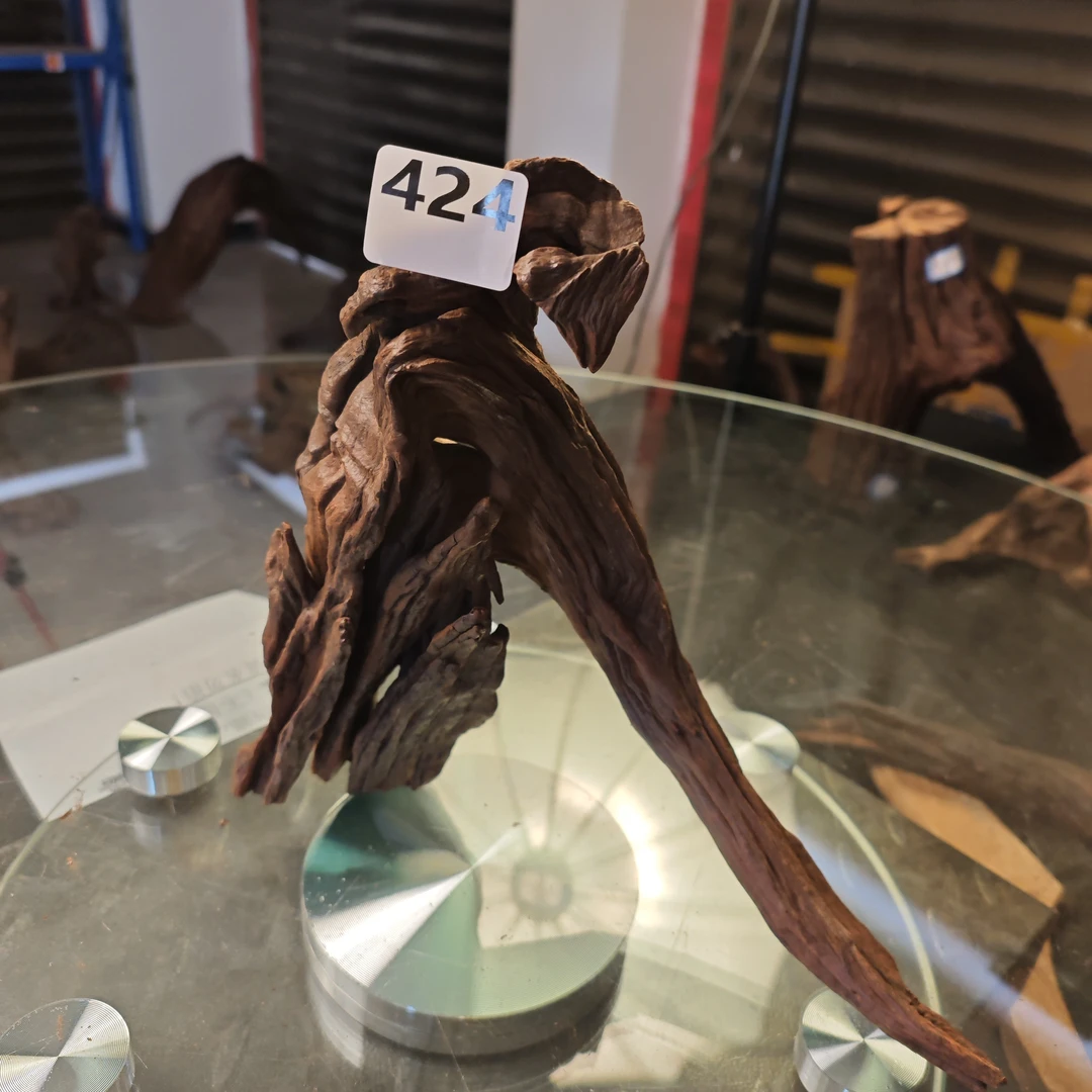 沉木云南紫柚木秒沉木424