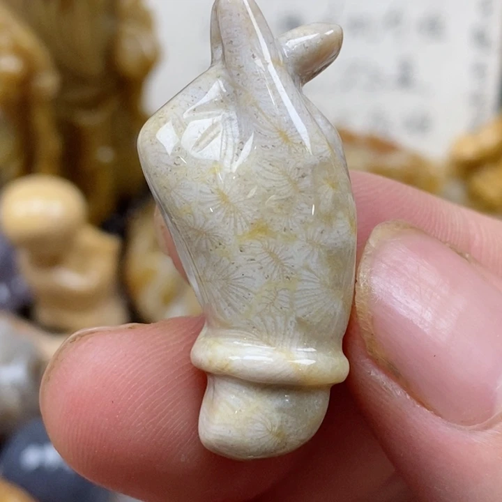 颈饰未镶嵌硅化珊瑚（珊瑚玉）小