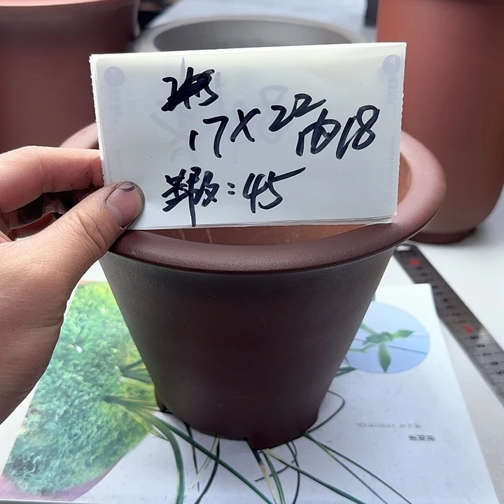 紫砂222222222222222222222