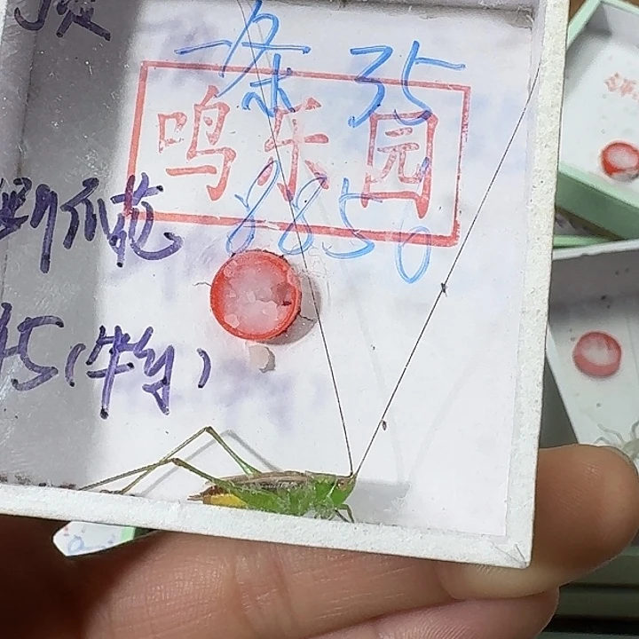 浩***间蟋蟀2222222222222222