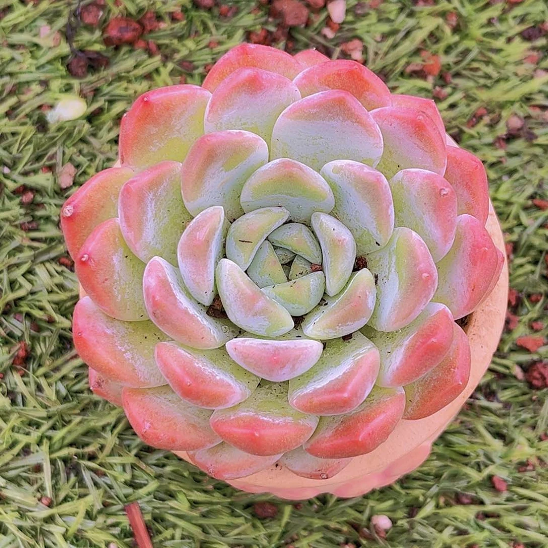 a7777777777777777777