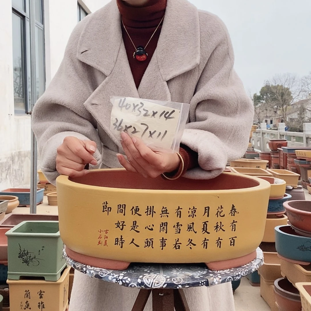 紫砂花盆紫砂花盆