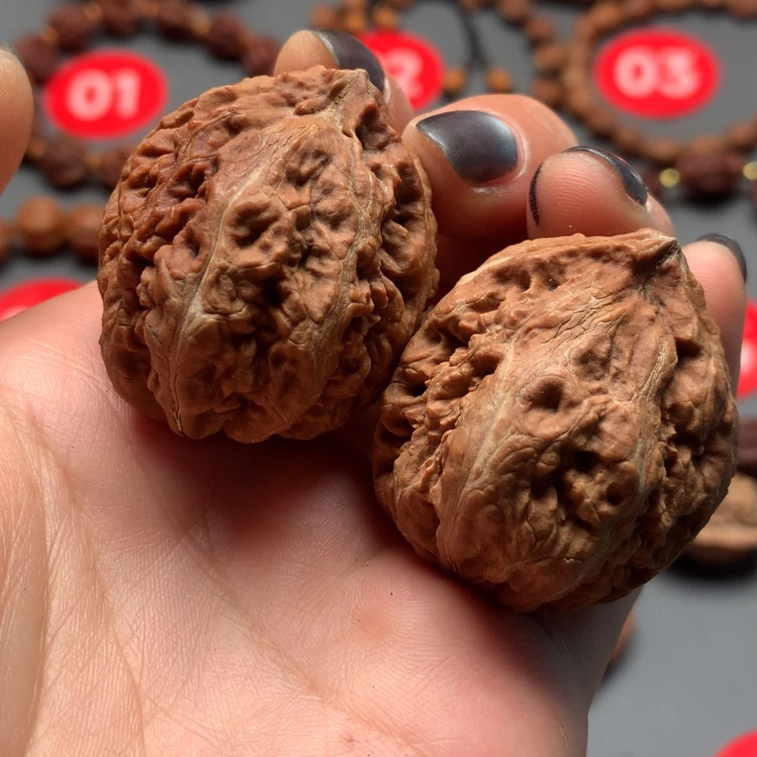 核桃24七彩楸子对一般