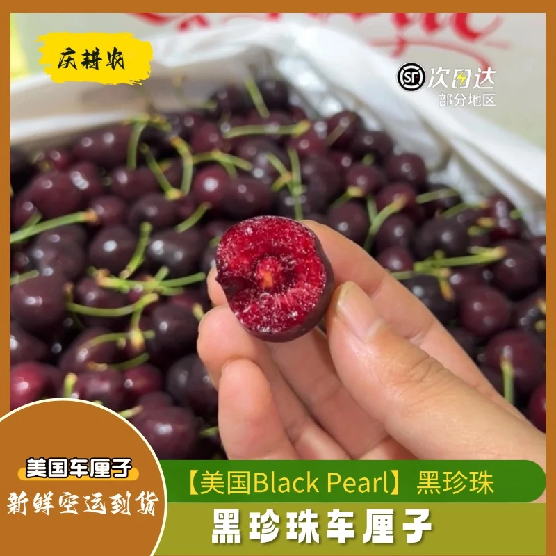 【美国Black Pearl】季节限定脆甜黑珍珠车厘子 “顺丰空运”9ROW/1斤