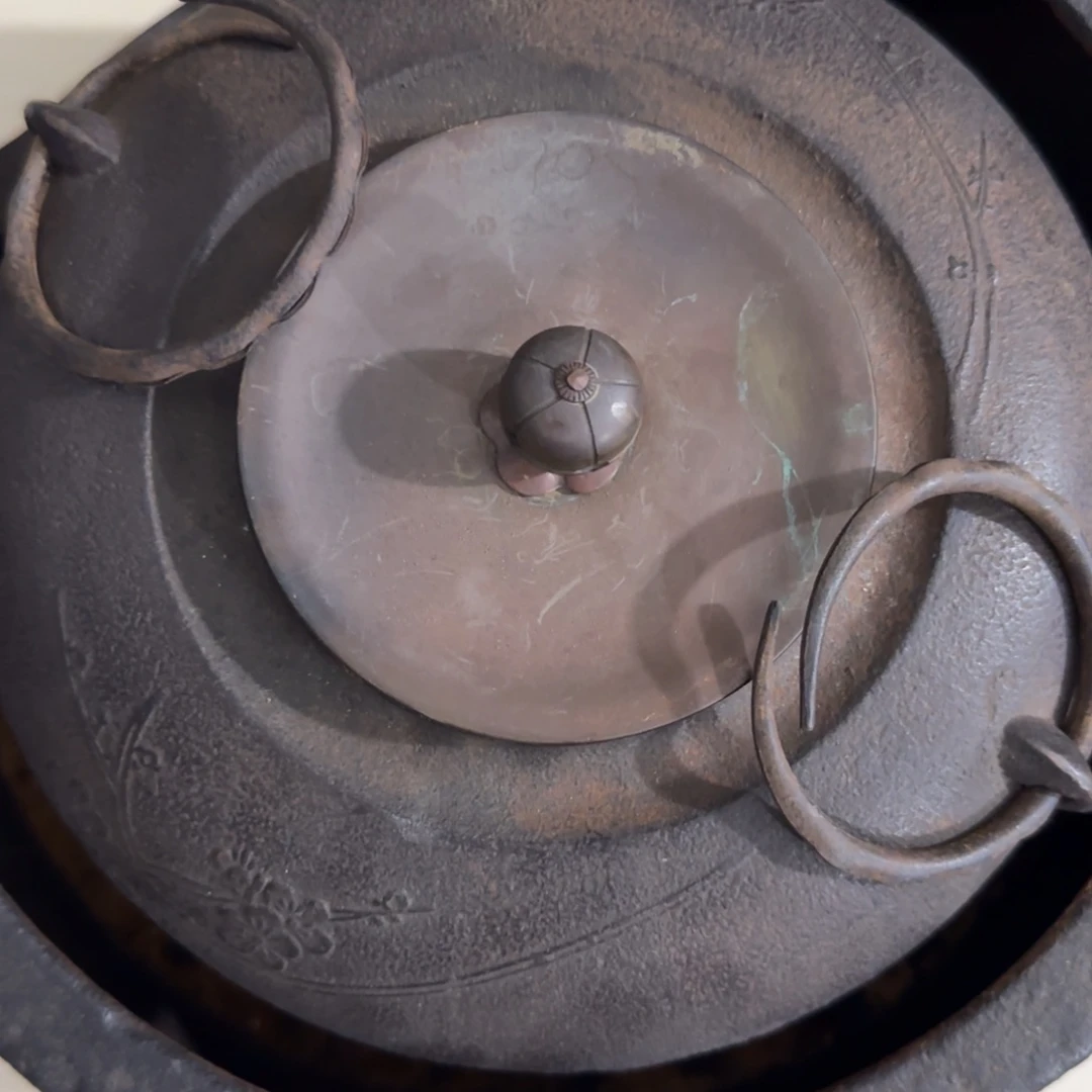 梅**子哈哈哈哈哈我的天啊哈哈啊哈哈