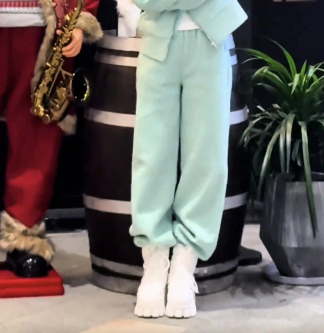 h5819 2024冬 加厚收脚休闲裤