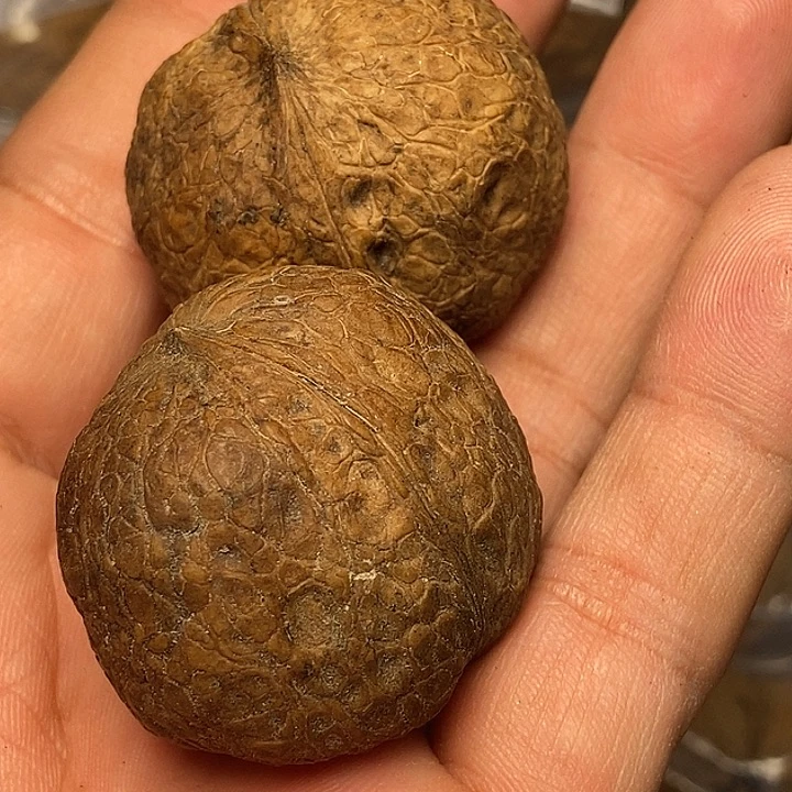 把件文玩核桃云南铁核桃9