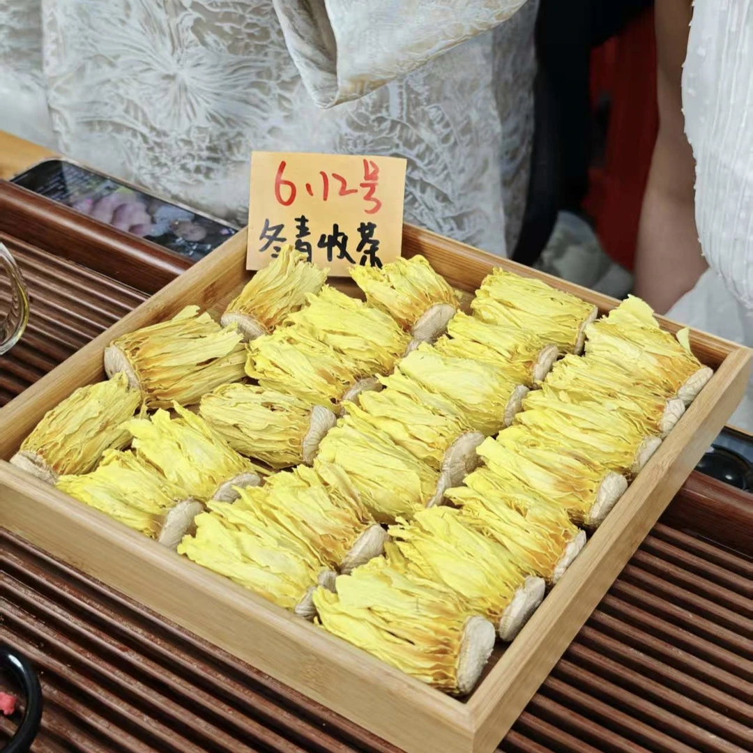 海南九品香水莲花     冬青收茶